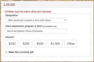 screenshot example of online giving form